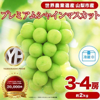 2026年度先行予約 フルーツ王国山梨産 厳選 シャインマスカット 3～4房 (約2kg)【配送不可地域：離島】