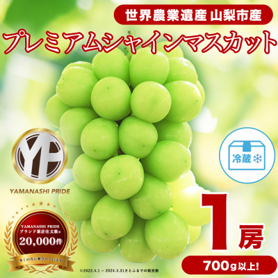 2026年度先行予約 フルーツ王国山梨産厳選 大房シャインマスカット 1房 (約700～800g)【配送不可地域：離島】