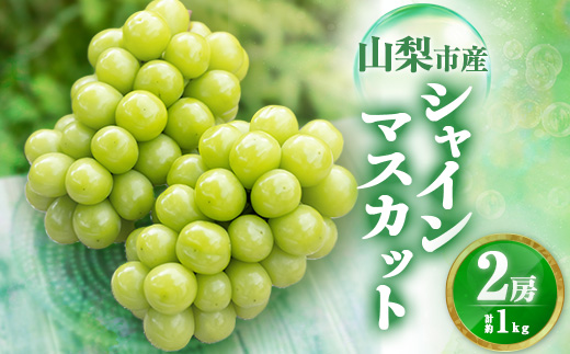 【2026年発送 先行受付】農福連携 シャインマスカット2房(合計1kg程度)【配送不可地域：離島】