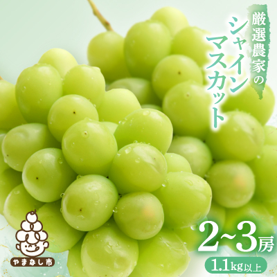 【2026年発送 先行受付】シャインマスカット 2~3房 1.1kg以上 山梨産【配送不可地域：離島】