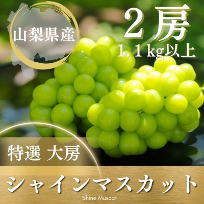 【2026年発送 先行受付】シャインマスカット 2房 1.1kg以上 山梨県 山梨市産【配送不可地域：離島】