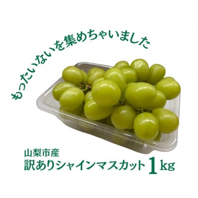 【2026年先行受付】訳あり 粒 シャインマスカット 約1kg【配送不可地域：離島・沖縄県】