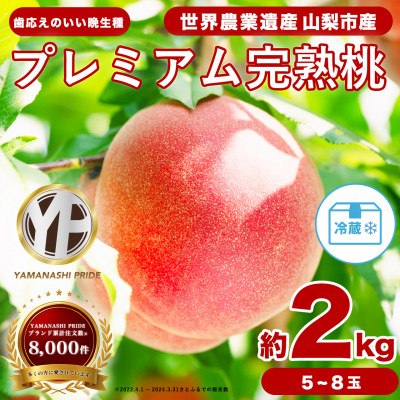 2026年度先行予約 晩生 約2kg 5~8個 大ぶり歯ごたえ◎ YAMANASHI PRIDE 桃【配送不可地域：離島】