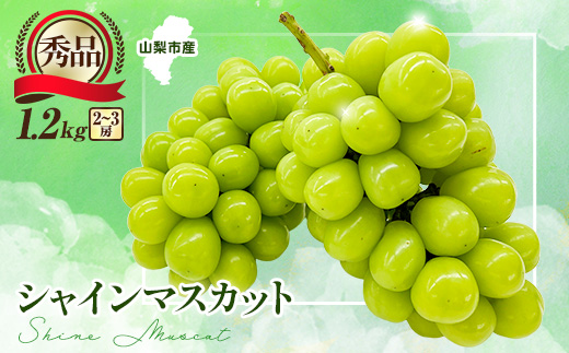 【2026年発送　先行受付】大人気!シャインマスカット秀 1.2kg(2～3房)【配送不可地域：離島】