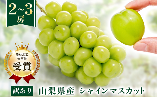 【先行受付 2026年発送】【訳あり】シャインマスカット 2～3房 1kg以上【配送不可地域：離島】