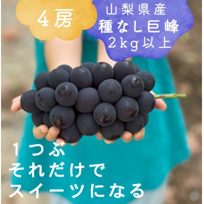 【2026年発送分先行受付】巨峰ぶどう(種なし) 2kg 以上 産地直送 山梨県山梨市牧丘産【配送不可地域：離島・沖縄県】