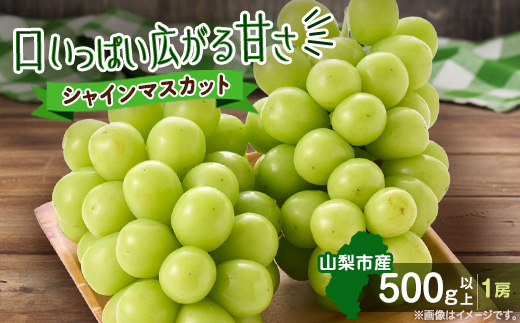 【2026年先行受付】やみつきシャインマスカット 500g以上(1房)【配送不可地域：離島】