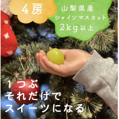 【年内発送】冬に食べられる シャインマスカット 4房 (計2kg以上) 山梨産【配送不可地域：離島・沖縄県】