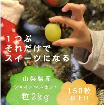 【年内発送】冬に食べられる シャインマスカット 粒 (2kg以上) 山梨産【配送不可地域：離島・沖縄県】