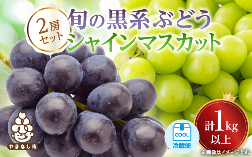 【2026年発送 先行受付】山梨産シャインマスカットと黒系葡萄2色セット【配送不可地域：離島】