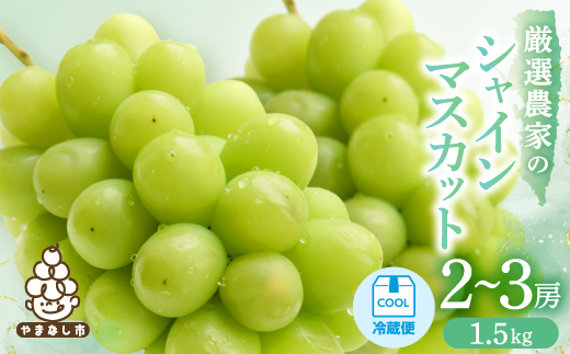 【2026年発送 先行受付】シャインマスカット　2～3房 1.5kg【配送不可地域：離島】
