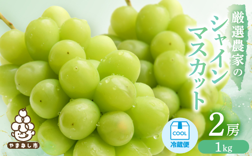 【2026年発送 先行受付】シャインマスカット　2房 1kg【配送不可地域：離島】