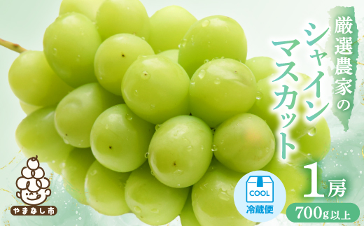 【2026年発送 先行受付】厳選農家のシャインマスカット 700g以上 1房　化粧箱入り【配送不可地域：離島】