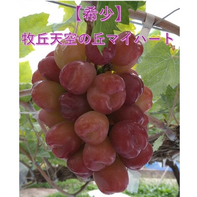 【2026年先行受付】10月中旬より発送「牧丘天空の丘マイハート」約1kg(2～3房)【配送不可地域：離島】