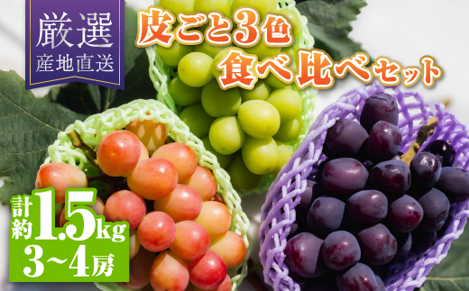 シャインマスカット含む皮ごと3色食べ比べセット約1.5kg(3～4房)【配送不可地域：離島】