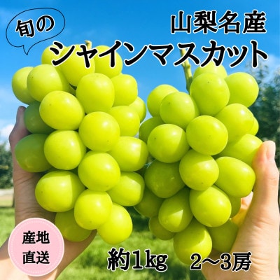 ◆2026年発送◆産地直送 山梨名産!旬のシャインマスカット 2～3房(約1kg)【配送不可地域：離島】