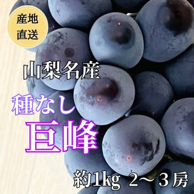 ◆2026年発送◆産地直送 山梨名産!種なし巨峰 2～3房(約1kg)【配送不可地域：離島】