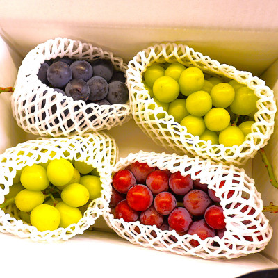 【2026年先行】数量限定ぶどう三色セット(クインニーナ、シャインマスカット、ピオーネ)2kg【配送不可地域：離島】