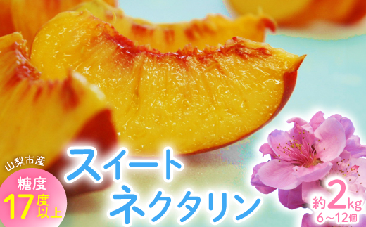 2026年先行　スイートネクタリン　約2kg(6～12個)【配送不可地域：離島・北海道・沖縄県・中国・四国・九州】