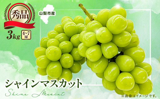 【2026年先行受付】大人気! シャインマスカット秀 3kg(4～7房)【配送不可地域：離島】