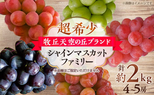 【2026年先行受付】超希少　牧丘天空の丘ブランド「シャインマスカットファミリーバラエティーセット」【配送不可地域：離島】