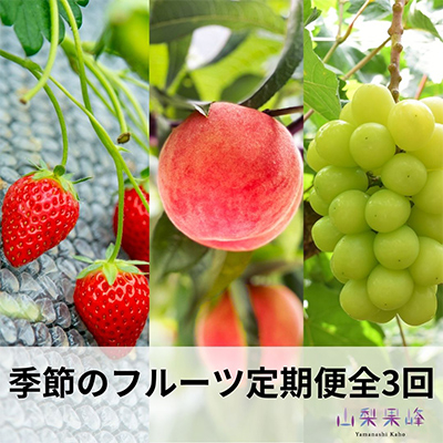 【発送月固定定期便】山梨市産　季節のフルーツ定期便全3回【配送不可地域：離島・沖縄県】