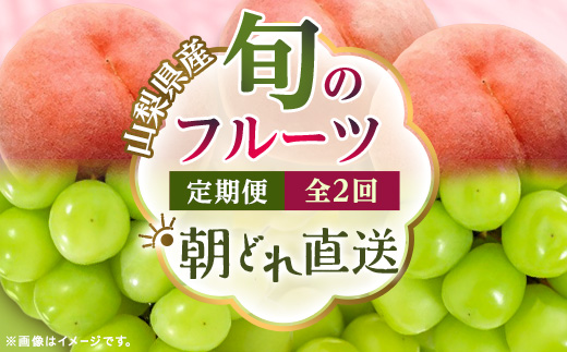 【発送月固定定期便】【2026年先行受付】 旬のフルーツ定期便 桃900g・シャイン500g全2回【配送不可地域：離島・沖縄県】