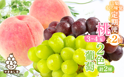 【発送月固定定期便】山梨旬の味覚定期便【桃 約1kg/2色葡萄 1kg以上】全2回【配送不可地域：離島】