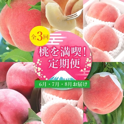 【発送月固定定期便】桃好きさん、集まれ～!個性ある3種のももが楽しめる全3回【配送不可地域：離島・沖縄県】