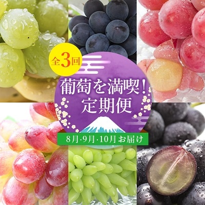 【発送月固定定期便】葡萄好きさん、集まれ～!人気のフルーツぶどうの定期便全3回【配送不可地域：離島・沖縄県】