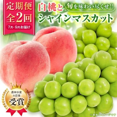 【発送月固定定期便】【農林水産大臣賞受賞!!】山梨の白桃とシャインマスカットの全2回　各1kg以上【配送不可地域：離島・沖縄県】