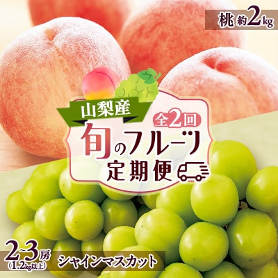 【発送月固定定期便】山梨市フルーツ定期便(桃・シャインマスカット)全2回【配送不可地域：離島】
