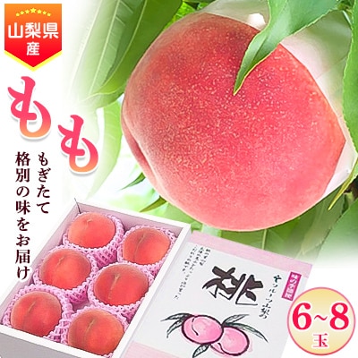 【発送月固定定期便】JAフルーツ山梨定期便 全3回【配送不可地域：離島・沖縄県】