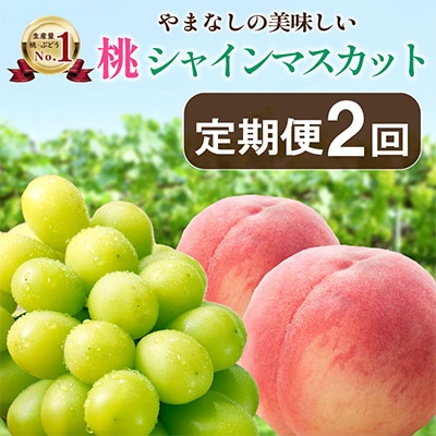 【発送月固定定期便】山梨の美味しい【桃とシャインマスカット】定期便全2回【配送不可地域：離島】