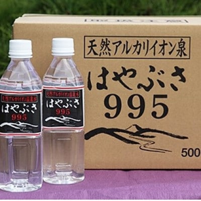 【毎月定期便】りょう泉はやぶさ　995〈500ml×24本〉全3回