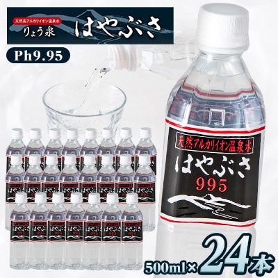 【毎月定期便】りょう泉はやぶさ　995〈500ml×24本〉全12回