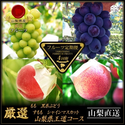 【発送月固定定期便】フルーツ定期便全4回【配送不可地域：離島】