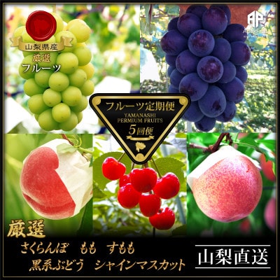 【発送月固定定期便】フルーツ定期便全5回【配送不可地域：離島】