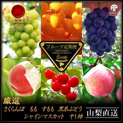 【発送月固定定期便】フルーツ定期便全6回【配送不可地域：離島】