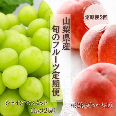 【発送月固定定期便】【2026年先行受付】旬のフルーツ定期便　桃2kg・シャインマスカット全2回【配送不可地域：離島】