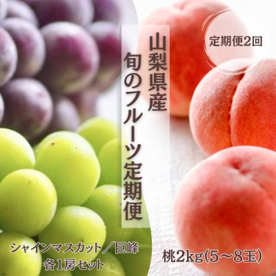 【発送月固定定期便】【2026年先行受付】旬のフルーツ定期便 桃2kg・巨峰/シャイン全2回【配送不可地域：離島・沖縄県】