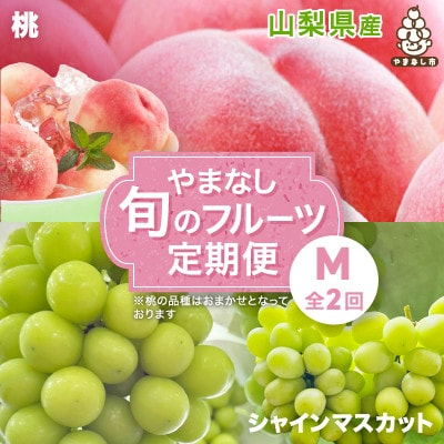 【発送月固定定期便】やまなし旬のフルーツ定期便(桃・シャインマスカット)【M】全2回【配送不可地域：離島】