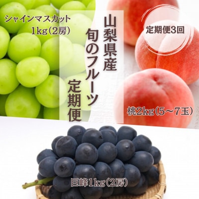 【発送月固定定期便】【2026年先行受付】フルーツ定期便 桃2kg 巨峰1kg シャイン1kg全3回【配送不可地域：離島】