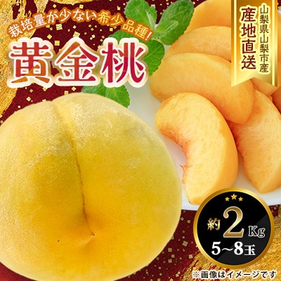 【ふるさと納税】2026年先行予約 山梨県山梨市産 黄桃 黄金桃 約2kg 5玉～8玉【配送不可地域：離島】
