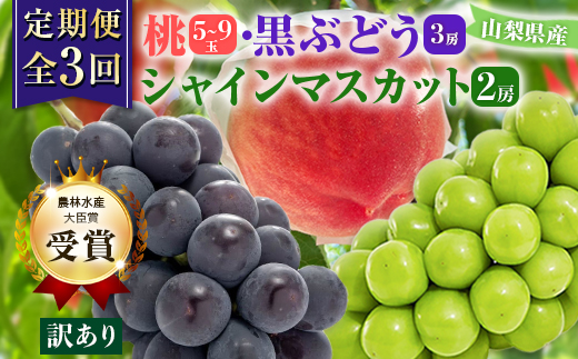 【発送月固定定期便】【訳アリ】山梨の桃と黒ぶどう・シャインマスカット全3回【配送不可地域：離島・沖縄県】