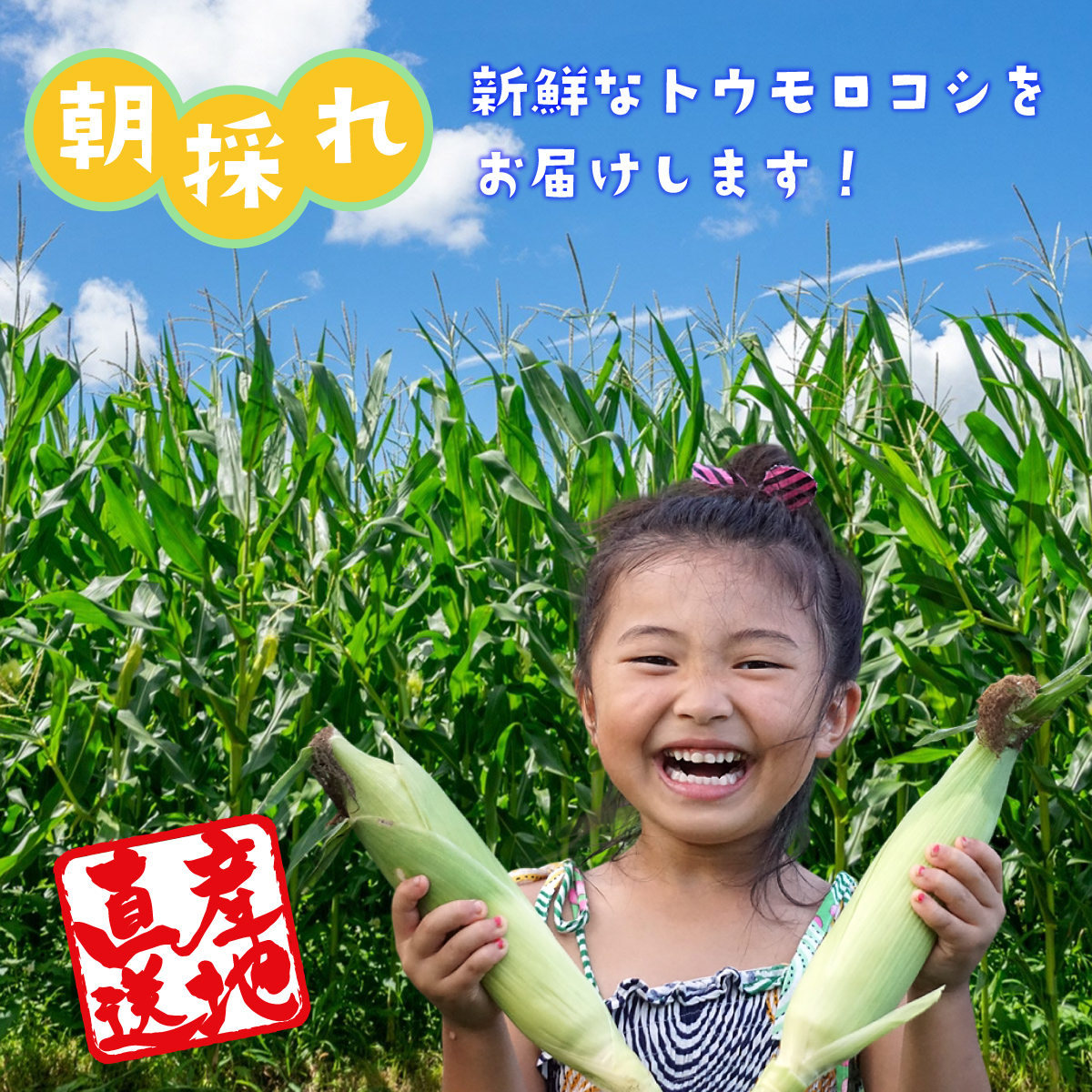 【2026年収穫分先行予約】富士山 恵味ゴールド トウモロコシ　10本