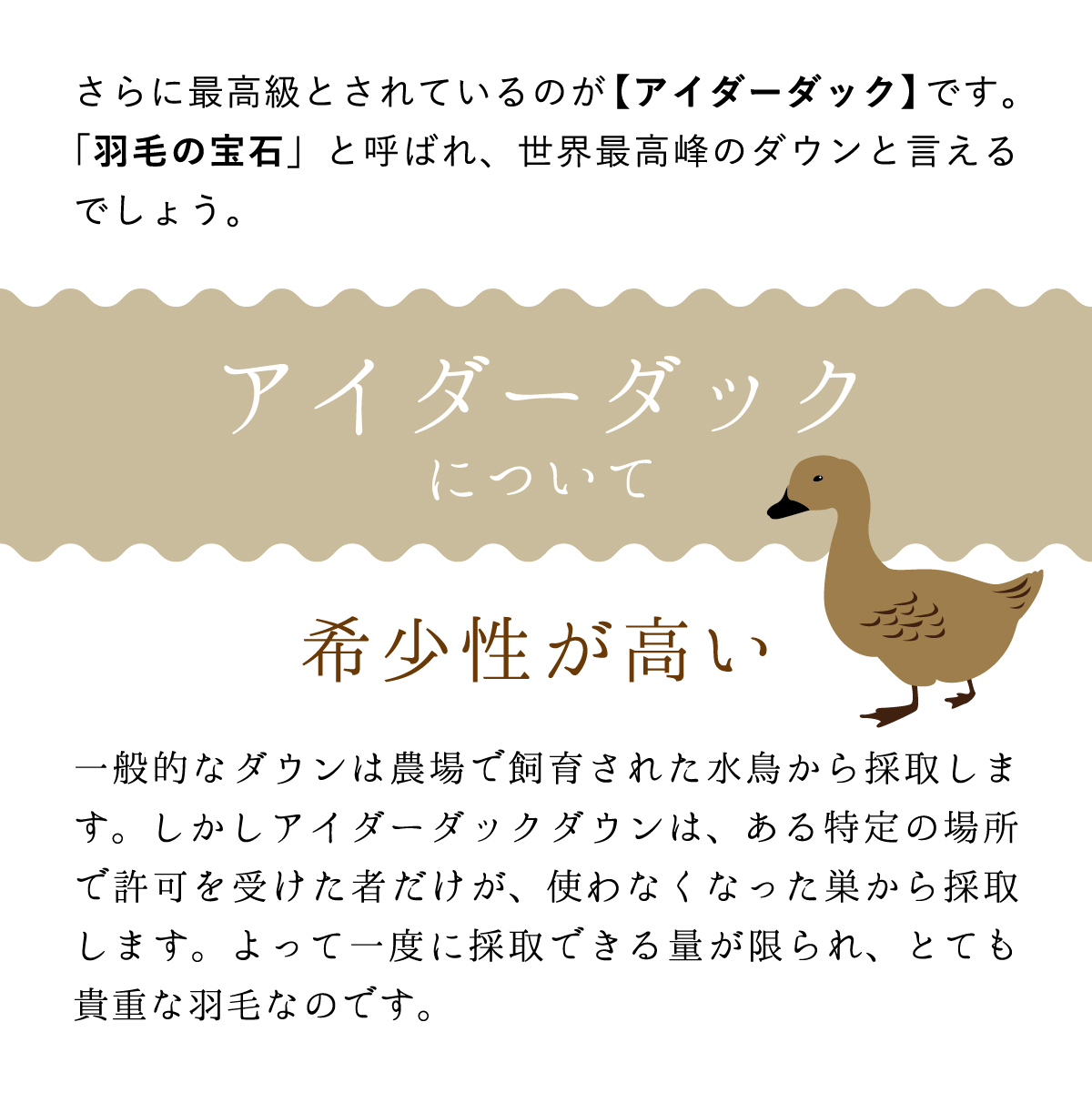 羽毛布団【シングル3点セット】アイダーダウン 本掛（1.1kg）・合掛（0.6kg）・肌掛（0.4kg）セット 高級生地使用　ピンク【X-1】