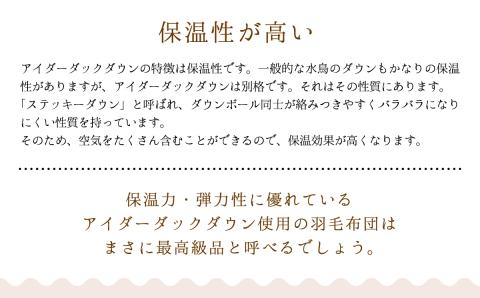羽毛布団【シングル】アイルランド産アイダーダックダウン400g　高級生地使用 【S-42】