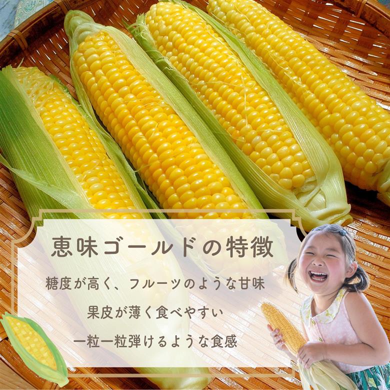 【2026年収穫分先行予約】富士山 恵味ゴールド トウモロコシ　10本
