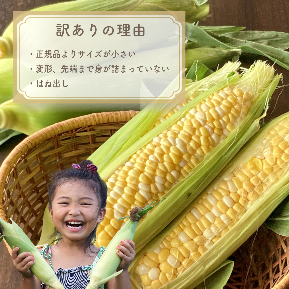 【2026年収穫分先行予約】【訳あり】富士山 恵味ゴールド トウモロコシ　10～15本